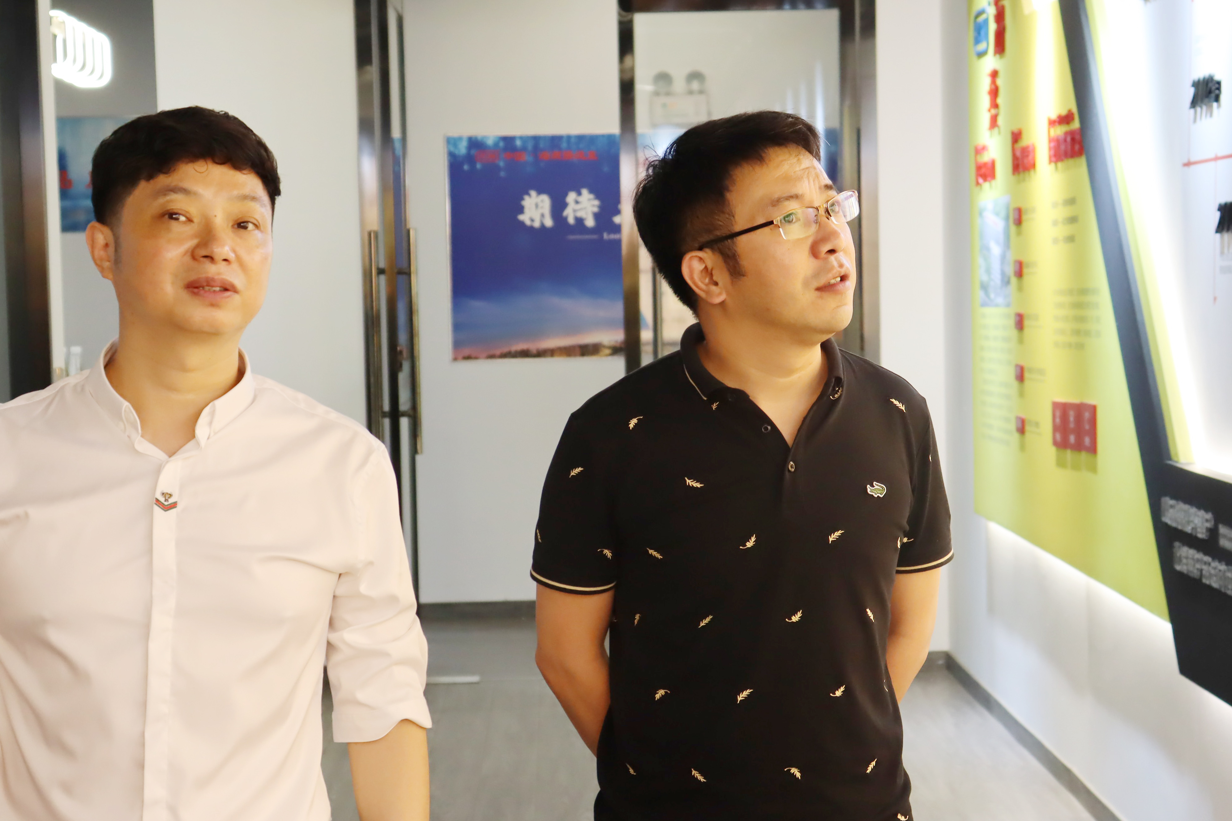 新港澳免费资料